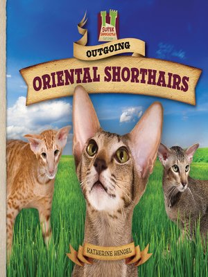 cover image of Outgoing Oriental Shorthairs